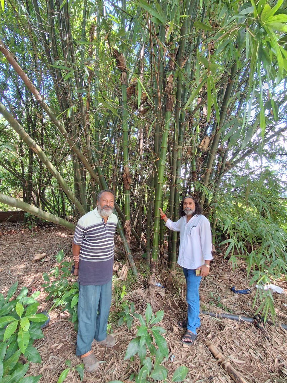 Sustainable Projects